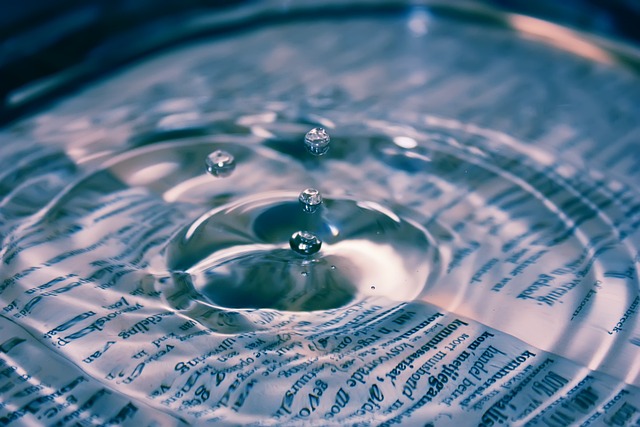 Impact of Musk's DOGE Investigation on Ripple Lawsuit