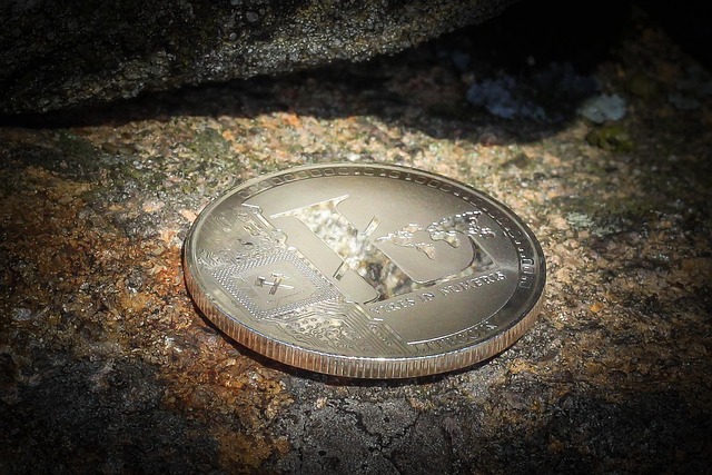 Opportunity for Entry: Litecoin Surges as LTC ETF Prepares for Launch - Best Wallet Token Offers Another Path to Crypto Success